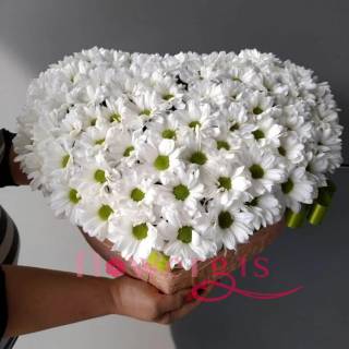 Белоснежная мелодия